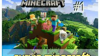 Play Minecraft and survive . Comment me what I have to play , Minecraft or Pubg,or other