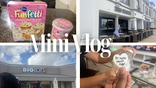 Mini Vlog: Baking Funfetti Cupcakes, Big Lots shopping, Zero Degrees, and At Home Movie Night