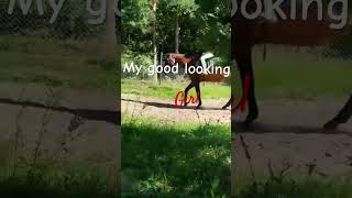 Na 700 sub będzie specjał #horse