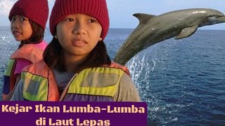 Kejar Ikan Lumba-Lumba di Laut Lepas