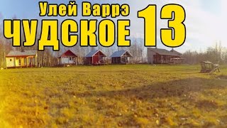 Чудское 13 - Улей Варрэ