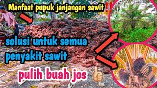 cara cerdas‼️terpenuhi semua kebutuhan kebun sawit➡️ terbukti PT ikutan👍🏻,#pupuk #buahsuper #petani