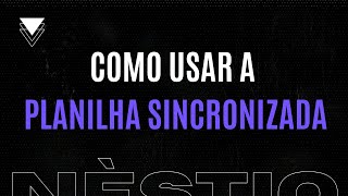 Como Usar A Planilha Sincronizada [Plataforma Monitor Leilão]