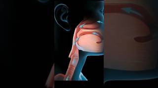 3D Animation video Human body|| #shorts