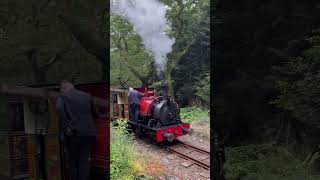 Corris Railway No 10 During the Falcon photo charter at The Talyllyn Railway