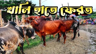 হযরতপুর হাট থেকে গরু কেনা হলনা || Purbasha Agro