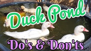 Do's & Don't Duck Pond