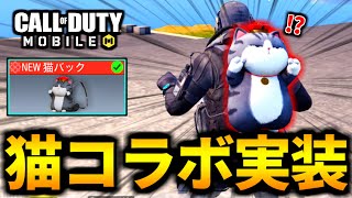 【CoD:MOBILE】新しい猫コラボ実装！スプリーモキャットがやばいバトロワ【CoDモバイル】