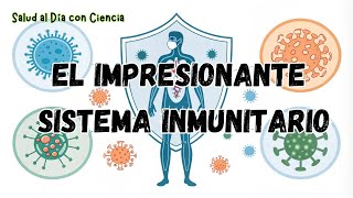 Sistema inmunitario: Cómo funciona y por qué es vital