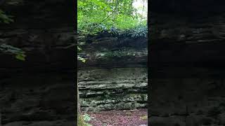 Panther Rocks, Pennsylvania #nature #hiking #shorts