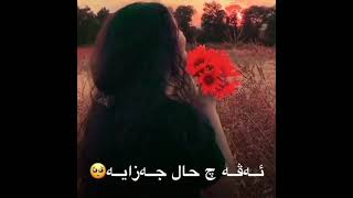 بيشا غزالي