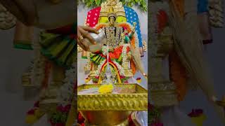 Varahi Ammavaru - Navarathrulu - Day 4 #varahi #amma #goddess #devotional #God #shorts #short #viral