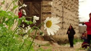 Yarım Sevgili (Şiir:Kahraman Tazeoğlu Yorum:Mehmet Menek)