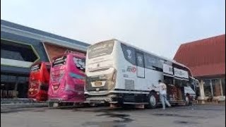 Konvoi 3 Unit Bus Artis Kuningan Tunggal Jaya Sowan Ke Karangpandan