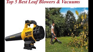 Top 5 Best Leaf Blowers & Vacuums