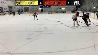 U13A Flamborough Sabres VS Guelph Gryphons