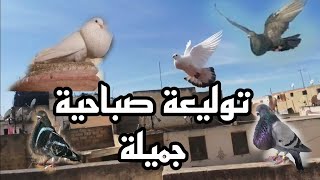 توليعة صباحية جميلة 🔥🔥 وجاوبت واحد الشخص على الكمونطير ديالو 🙏🙏🙏