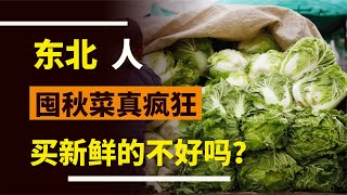 東北人囤菜有多瘋狂，存上千斤吃到明年，南方人：為啥不買新鮮的