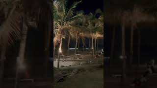 Visakhapatnam RK Beach 🏝️ Night time view!! #coconut #tree #beach #night #time #view #pleasant