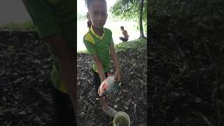 Naila Fishing video