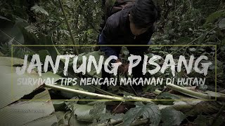 Mencari makam di hutan survival tips indonesia