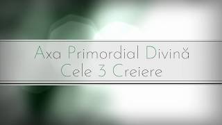 Cele 3 Creiere ale omului - Axa Primordial Divină - 3 centri energetici