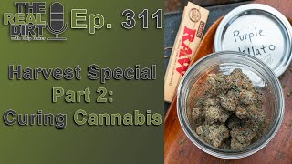 Curing Cannabis [Harvest Special Part Two]