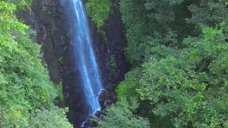 鳳凰瀑布_花蓮縣鳳林鎮 在地人才知道可輕鬆抵達的瀑布祕境 #鳳林瀑布 #慢活城市