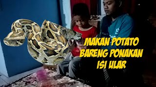 PRANK!! NGAJAK PONAKAN MAKAN POTATO CHIPS SNAKE