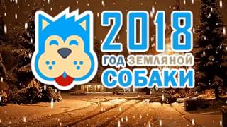 2018 год ЖЕЛТОЙ собаки. Можно смело приниматься за любые дела.