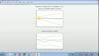 HOW TO DO IMPULSE RESPONSE FUNCTION EVIEWS