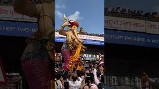 Khanderaya Maza Ghas Malhari 💛 Parel cha Raja