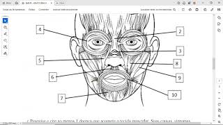 MAPA - ANATOMIA HUMANA - 54_2024