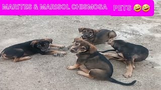 MARITES &  MARISOL CHÌSMOSA PETS