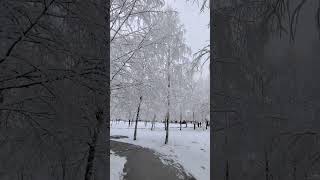 В Ингушетии (Россия 🇷🇺) выпал первый снег🥶&first snow is starting in Ingushetia (Russia 🇷🇺)🥶