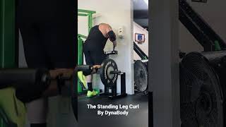 Standing Leg Curl By Dynabody