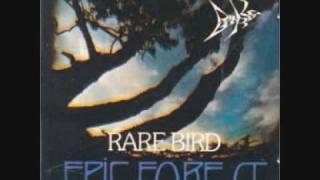 Rare Bird - Title No. 1 Again (Birdman)