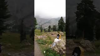 Heavy Rain at Rainbow Lake, Domel Jammu & Kashmir  #faisalrehman #nature #beautifulrainyweather