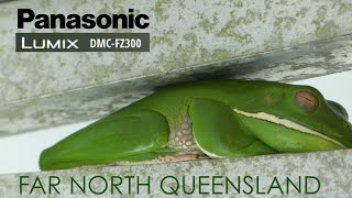 Panasonic Lumix DMC-FZ300 - Far North Queensland. - Photos and Footage of Nature and Culture