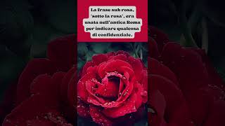 I Misteri delle Rose #Rose #Fiori #Mistero #BellezzaNaturale #Amore #Natura #Passione  #Shorts