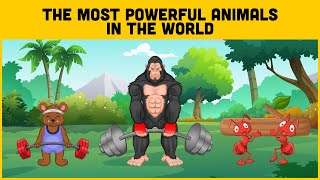 The Most Powerful Animals In The World