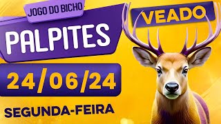 PALPITE DO DIA 24/06/2024 - JOGO DO BICHO 🍀 TODAS AS LOTERIAS 🍀