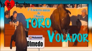 🐂 TORO   🚁  VELA   🛫   []oLMeDo[]     Y Mucho mucho mas......     -----YO♥️TAURINO----- TOROS BRAVOS