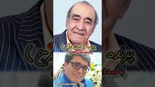 پرنده ( استاد ایرج) با صدای عباس گلشنی