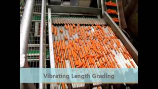 Tong Carrot Handling, Grading & Washing Systems