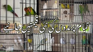 Ali Bhai Shop Visit Los Road Birds Market Lahore Birds Latest Prices Sunday 30-01-2022