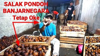 Salak Pondoh Siap Otw Lintas Pulau Malam ini