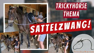 Sattelzwang - Pferd wehrt sich gegen Sattel - KISSING SPINES - TrickyHorse erklärt!