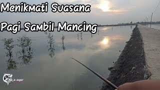 Mancing Jaer Umpan Udang Kupas‼️Menikmati Suasana Pagi