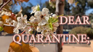 Dear Quarantine Part 4: Almost Over?